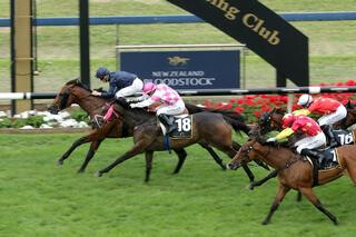 Australian raider Long Leaf (Fastnet Rock) winning the $1 million Karaka Million 3YO Classic. Photo: Trish Dunell